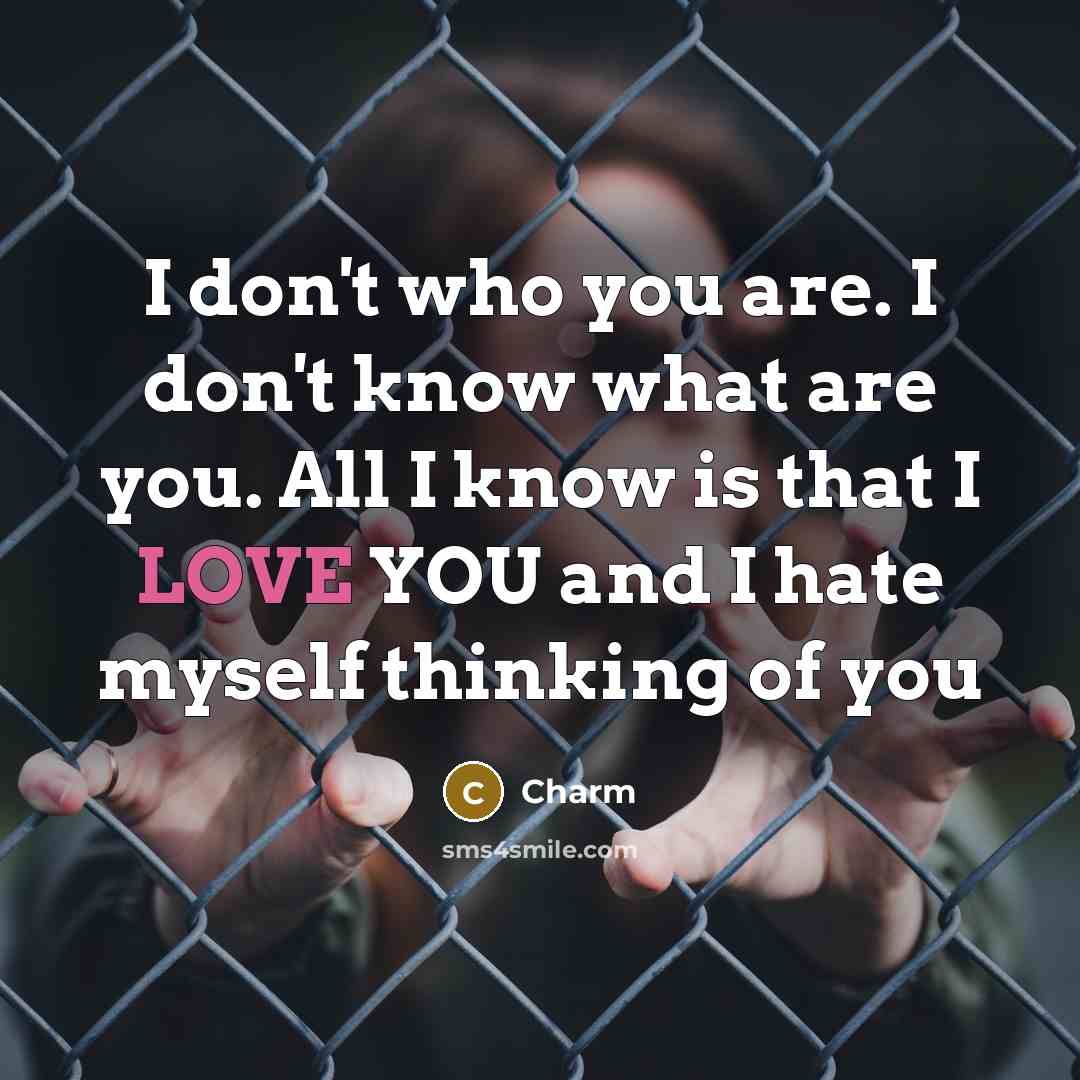 “I don't who you are. I don't know what are you. All I know is that I LOVE YOU and I hate myself thinking of you” quote by Charm