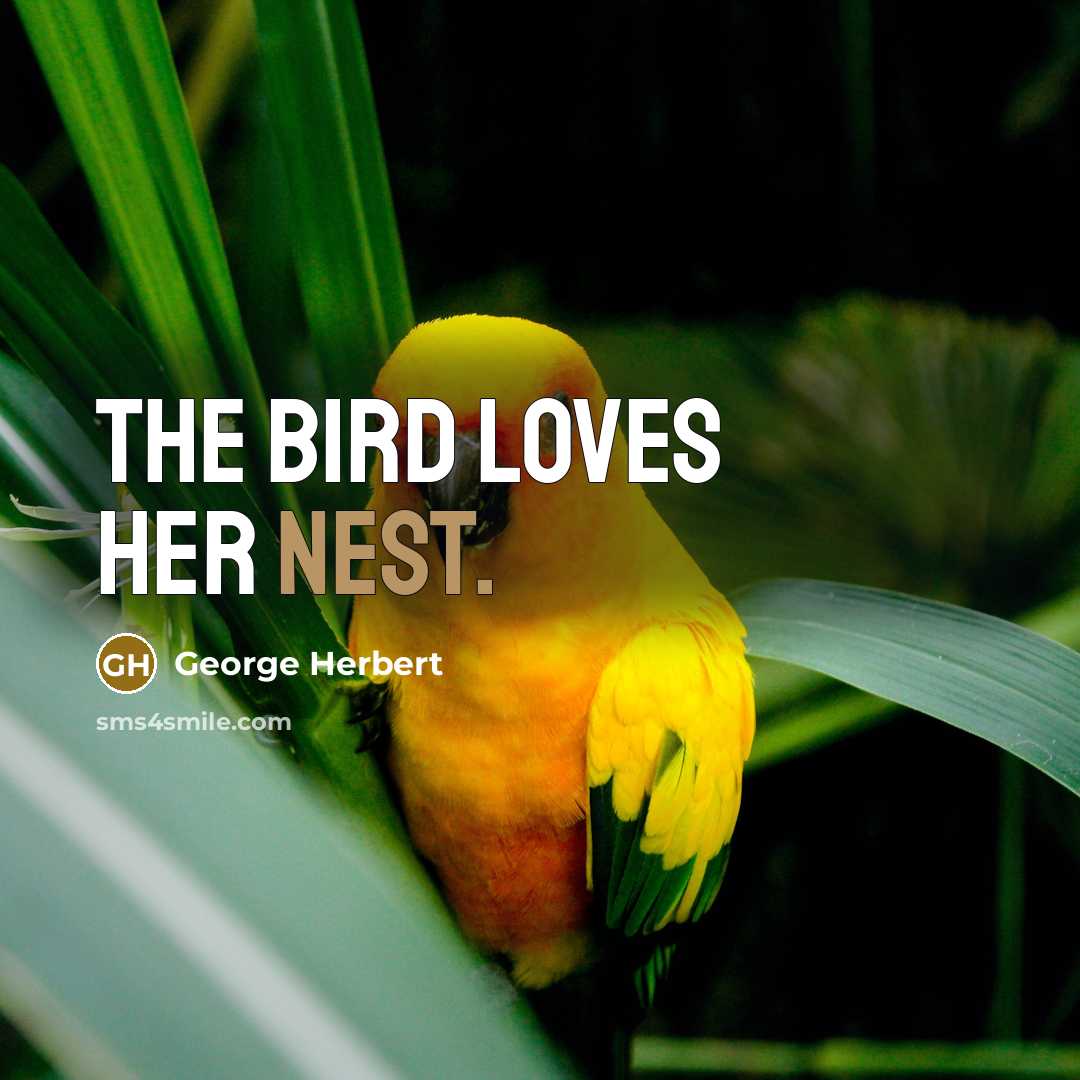 “The bird loves her nest.…” quote by George Herbert