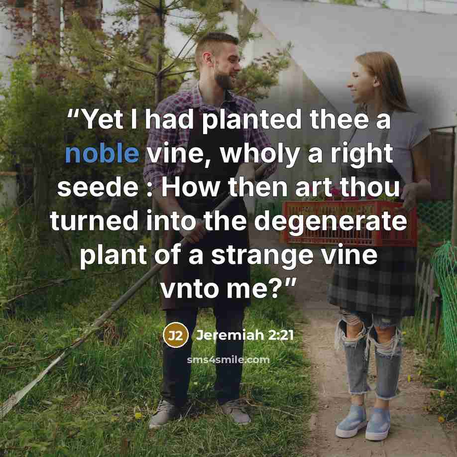 “Yet I had planted thee a noble vine, wholy a right seede : How then art thou turned into the degenerate plant of a strange vine vnto me?” quote by Jeremiah 2:21