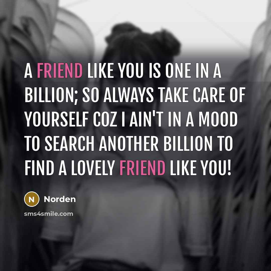 “A Friend like you is one in a Billion; So…” quote by Norden