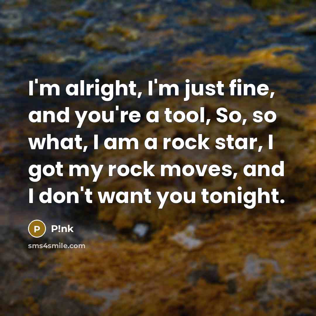 “I'm alright, I'm just fine, and you're a tool, So, so what, I am a rock star, I got my rock moves, and I don't want you tonight.” quote by P!nk
