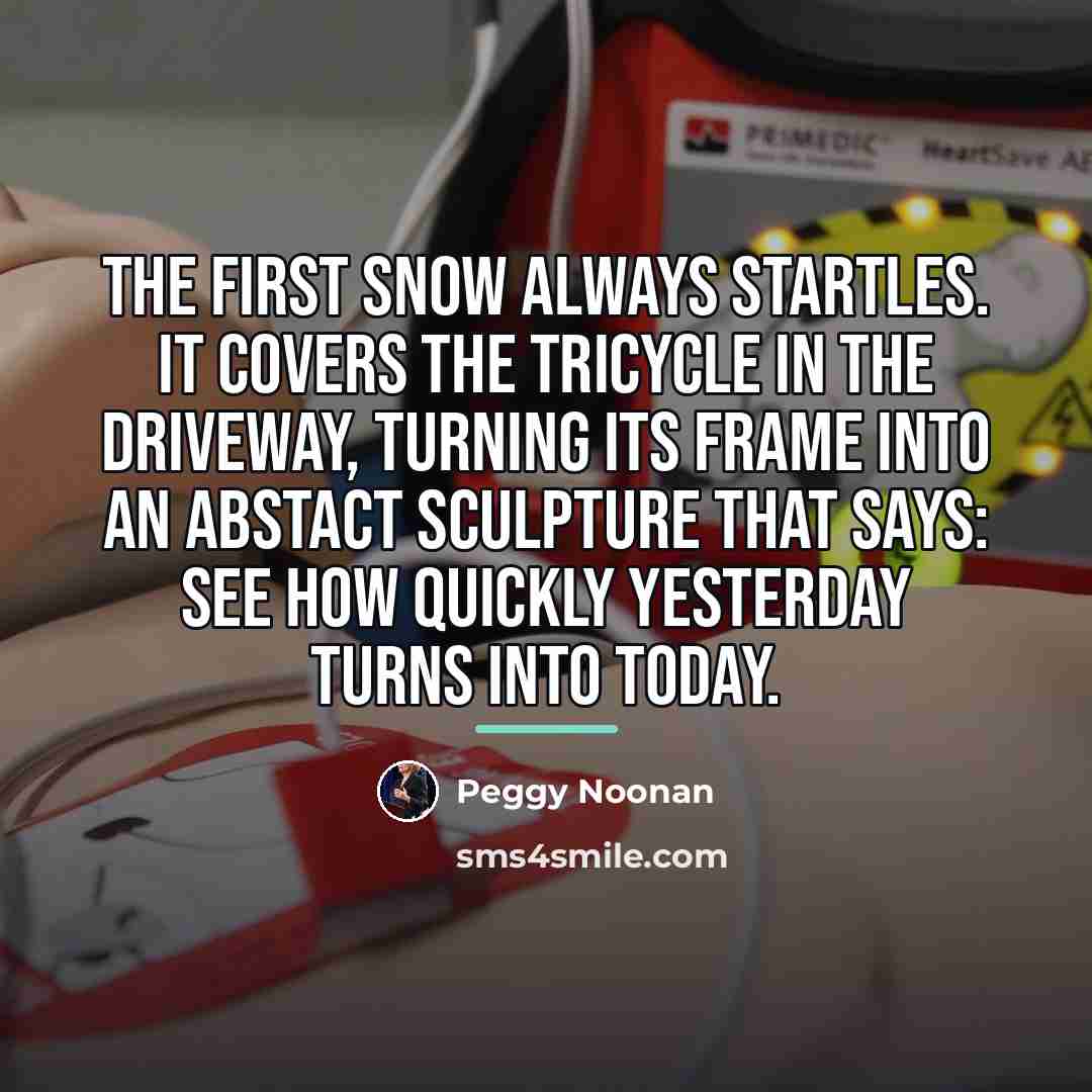 “The first snow always startles. It covers the tricycle in…” quote by Peggy Noonan