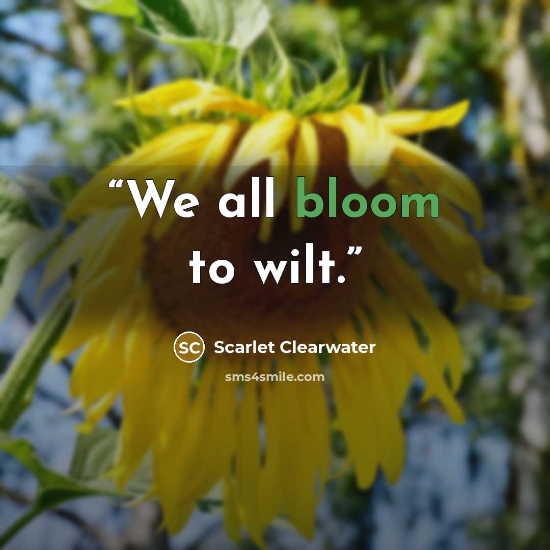 “We all bloom to wilt.” quote by Scarlet Clearwater