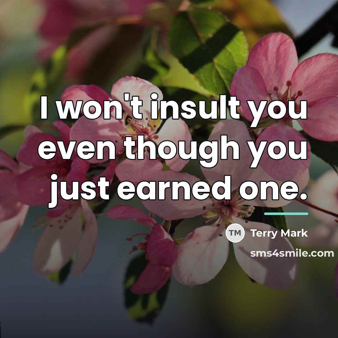 “I won't insult you even though you just earned one.…” quote by Terry Mark