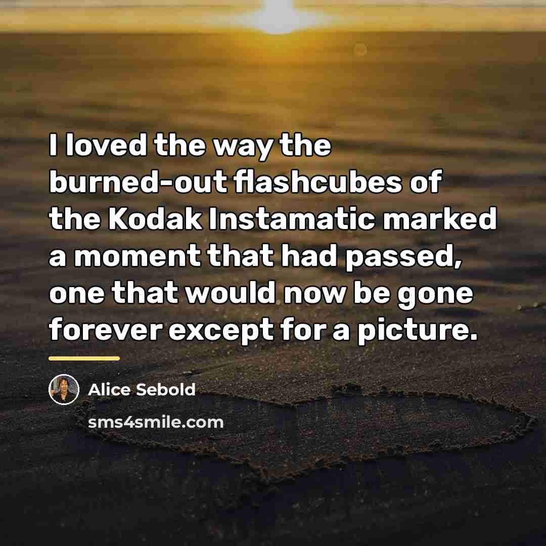 “I loved the way the burned-out flashcubes of the Kodak…” quote by Alice Sebold