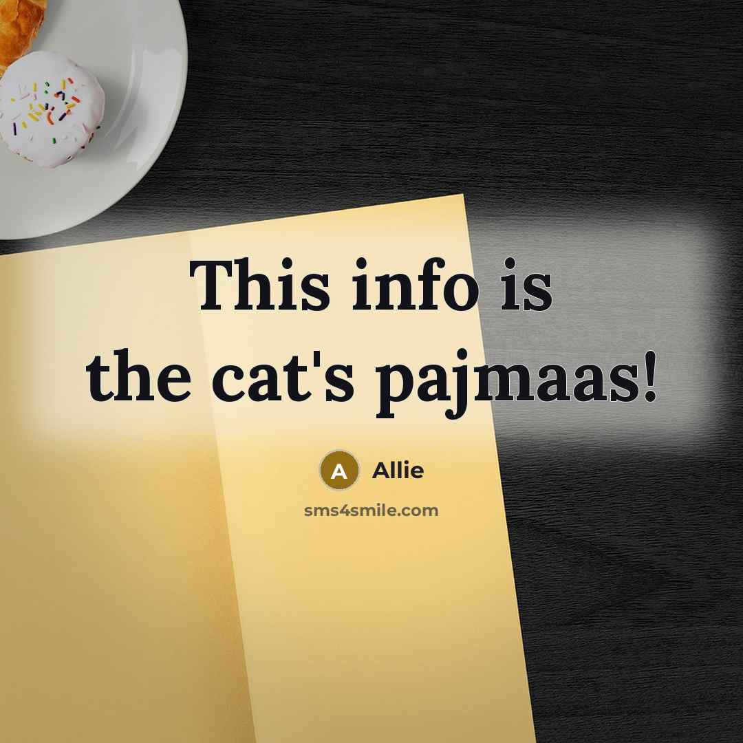 “This info is the cat's pajmaas!…” quote by Allie