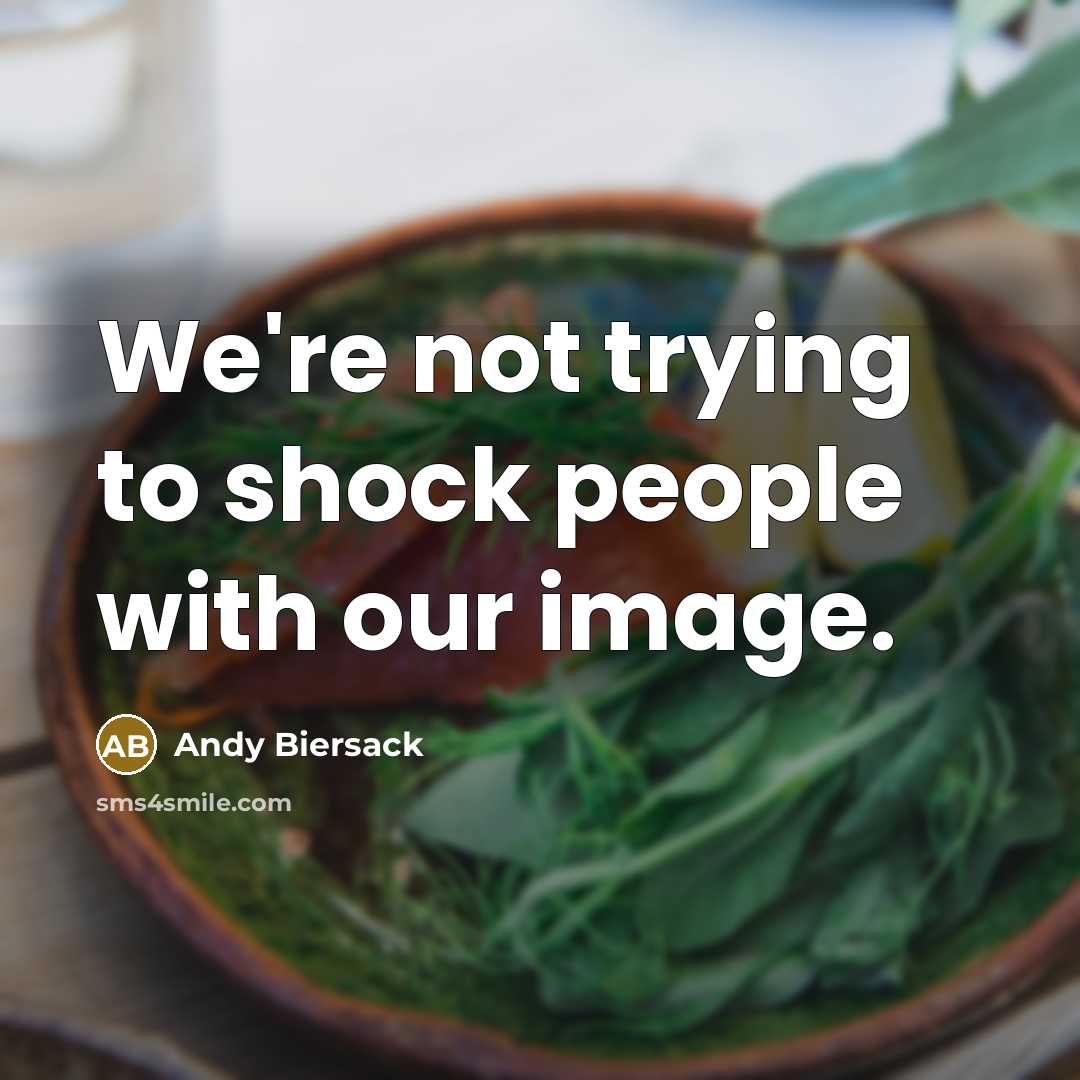“We're not trying to shock people with our image.…” quote by Andy Biersack