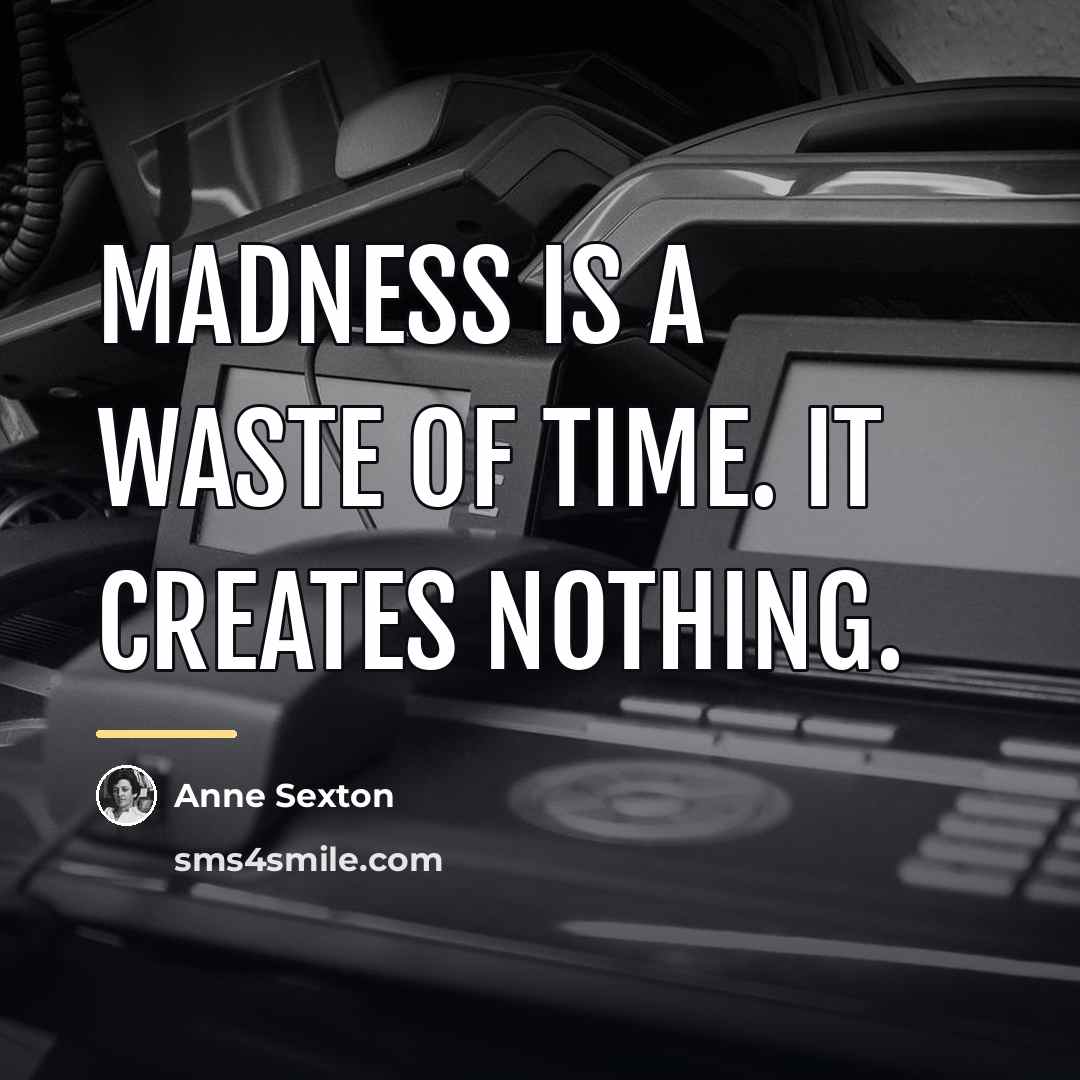 “Madness is a waste of time. It creates nothing.…” quote by Anne Sexton