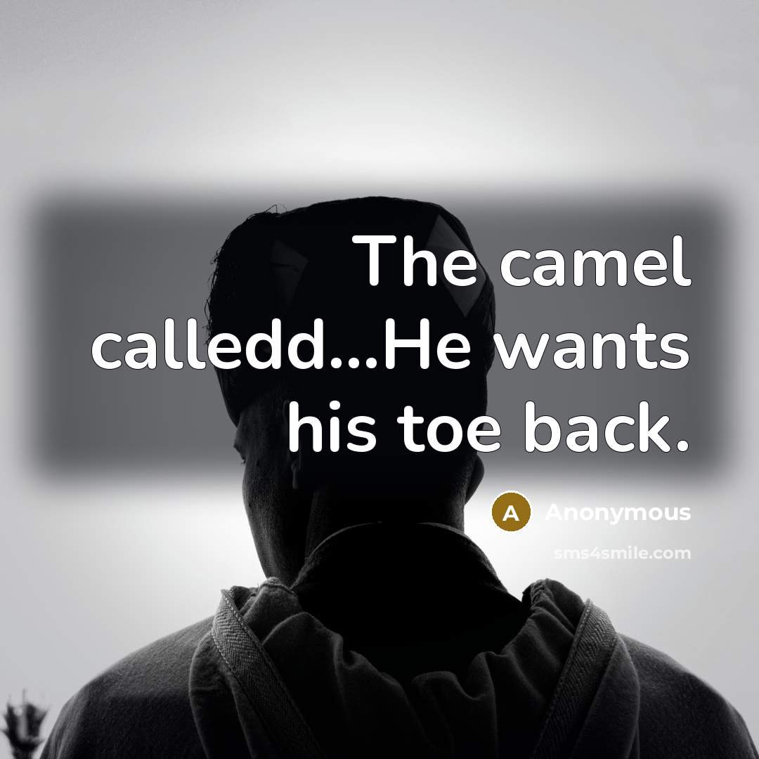 “The camel calledd…He wants his toe back.” quote by Anonymous