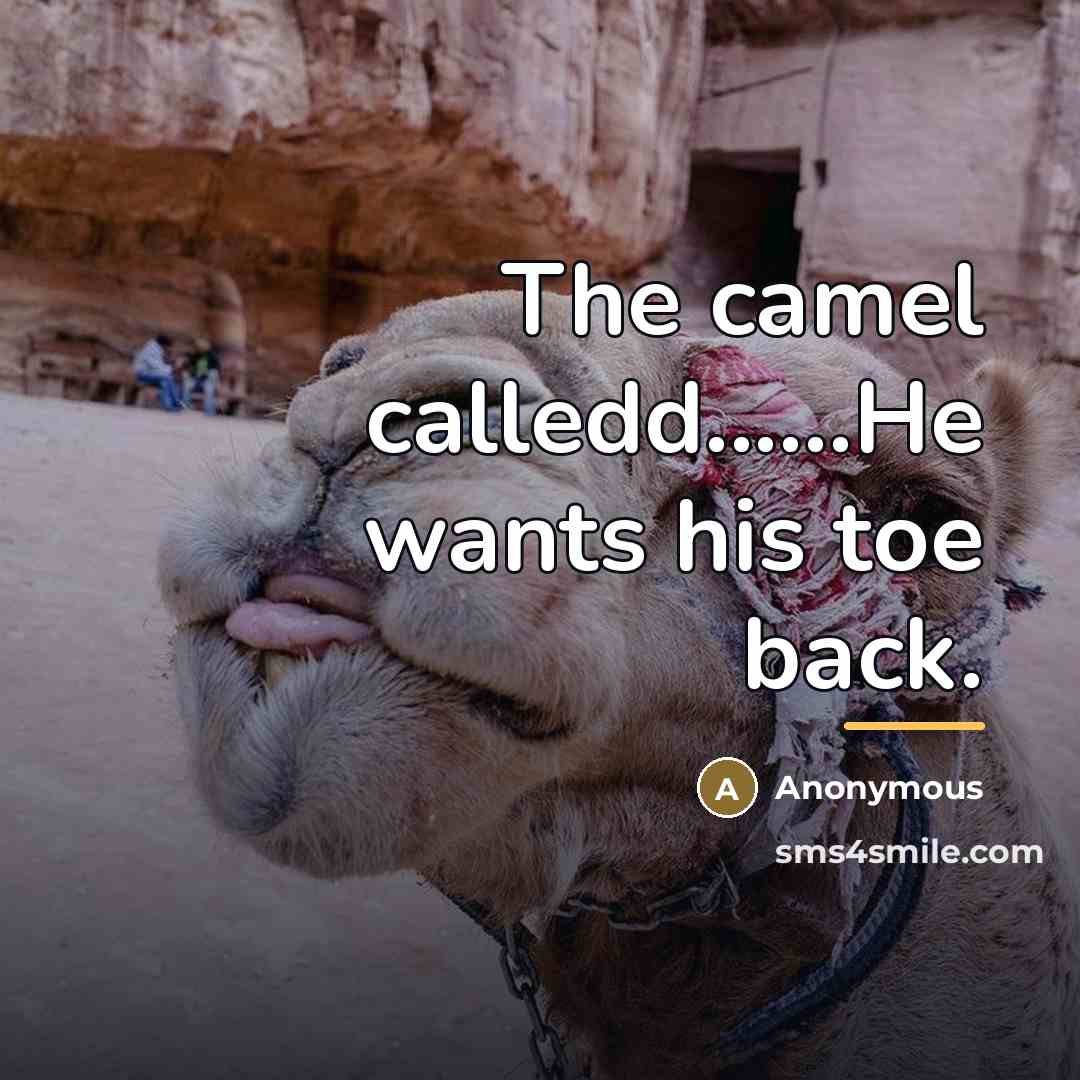 “The camel calledd......He wants his toe back.…” quote by Anonymous