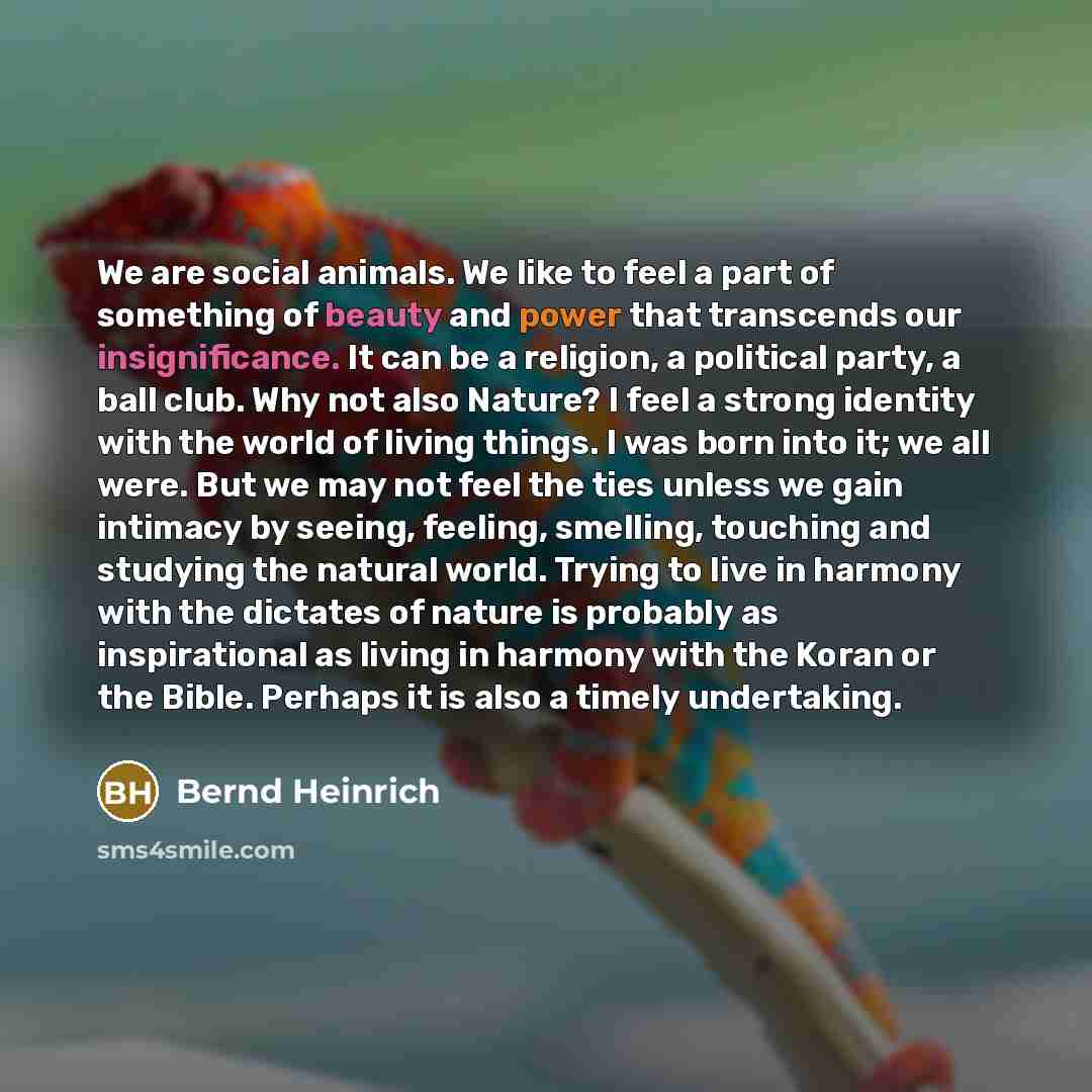 “We are social animals. We like to feel a part…” quote by Bernd Heinrich