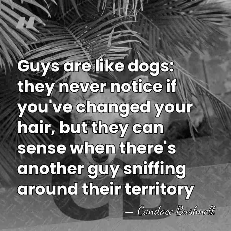Guys are like dogs: they never notice if you've changed your hair,&hellip; - Candace Bushnell