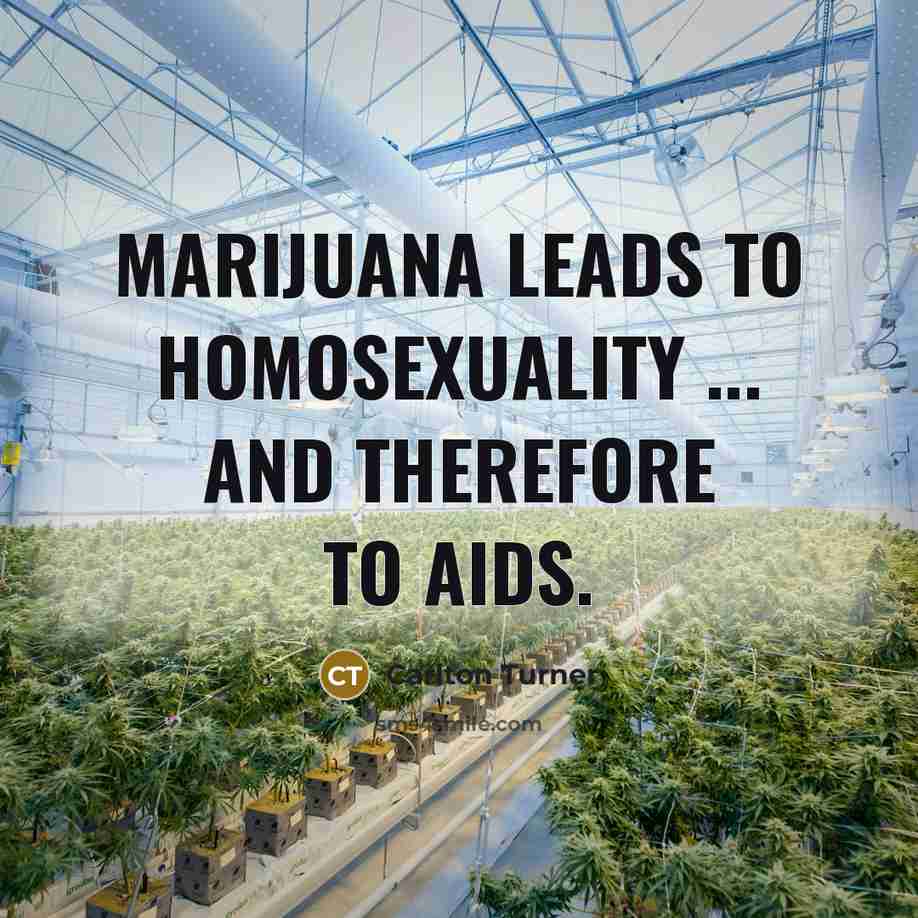 “Marijuana leads to homosexuality ... and therefore to AIDS.” quote by Carlton Turner