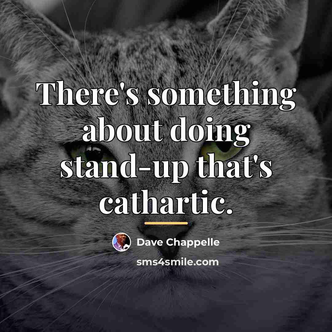 “There's something about doing stand-up that's cathartic.…” quote by Dave Chappelle