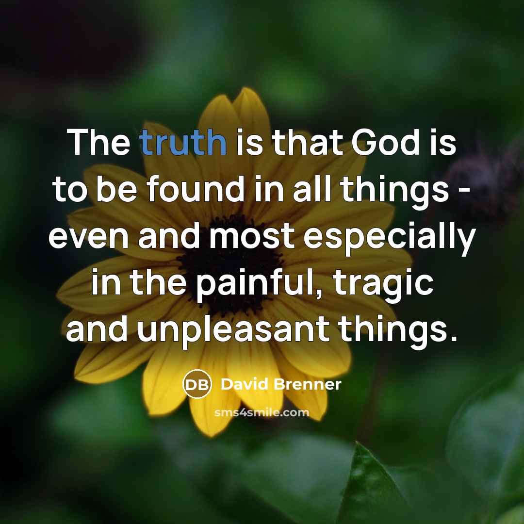 “The truth is that God is to be found in…” quote by David Brenner