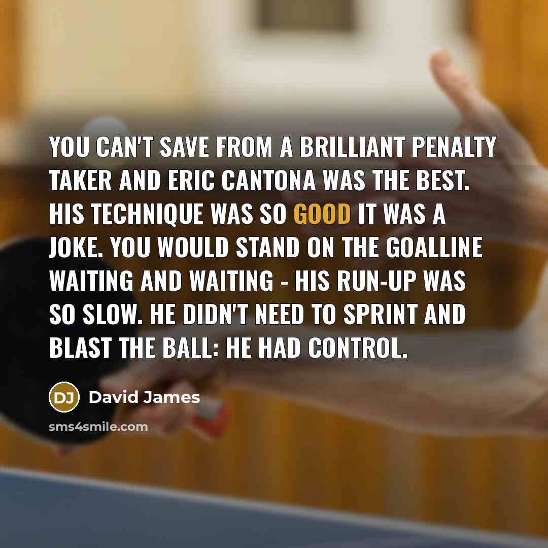 “You can't save from a brilliant penalty taker and Eric…” quote by David James