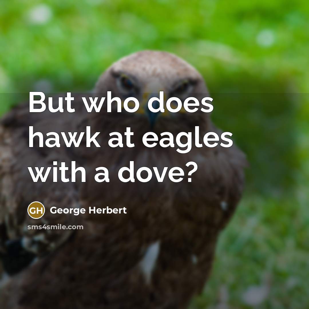 “But who does hawk at eagles with a dove?” quote by George Herbert