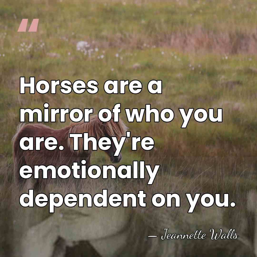 Horses are a mirror of who you are. They're emotionally dependent on&hellip; - Jeannette Walls