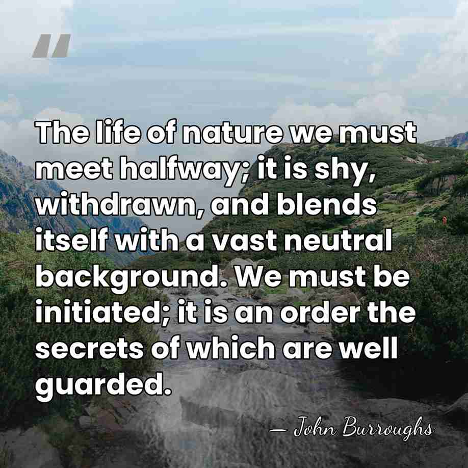 The life of nature we must meet halfway; it is shy, withdrawn,&hellip; - John Burroughs