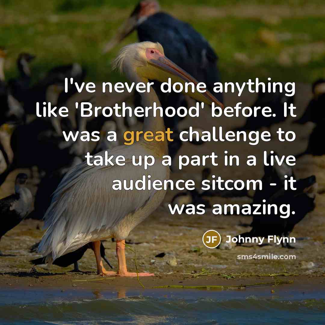 “I've never done anything like 'Brotherhood' before. It was a…” quote by Johnny Flynn