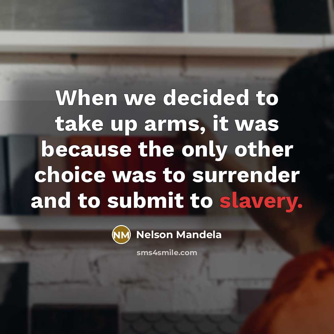 “When we decided to take up arms, it was because…” quote by Nelson Mandela