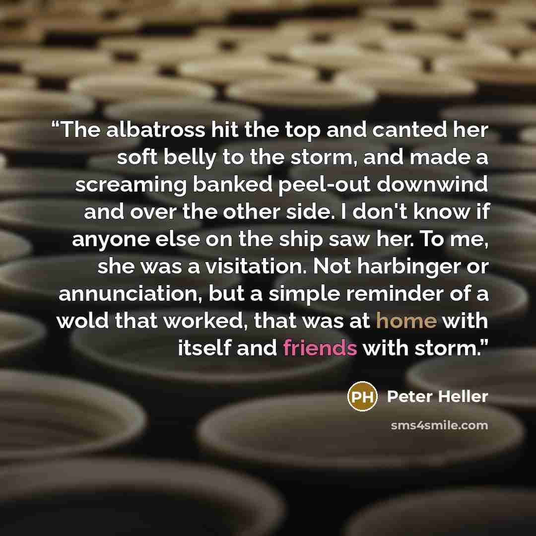 “The albatross hit the top and canted her soft belly to the storm, and made a screaming banked peel-out downwind and over the other side. I don't know if anyone else on the ship saw her. To me, she was a visitation. Not harbinger or annunciation, but a simple reminder of a wold that worked, that…” quote by Peter Heller