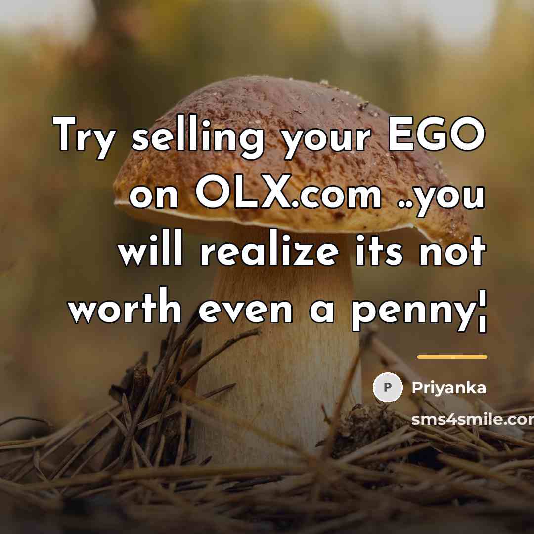 “Try selling your EGO on OLX.com ..you will realize its…” quote by Priyanka