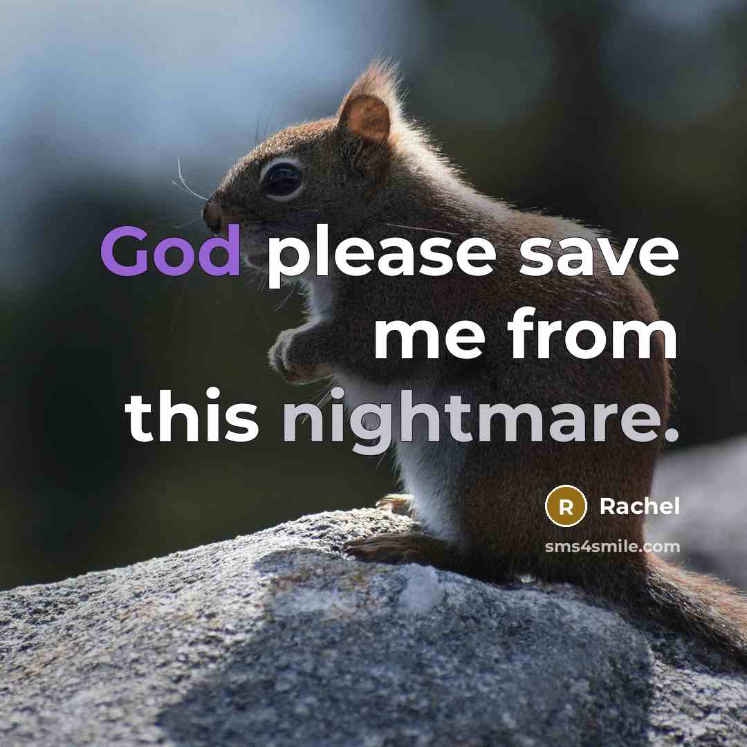 “God please save me from this nightmare.” quote by Rachel