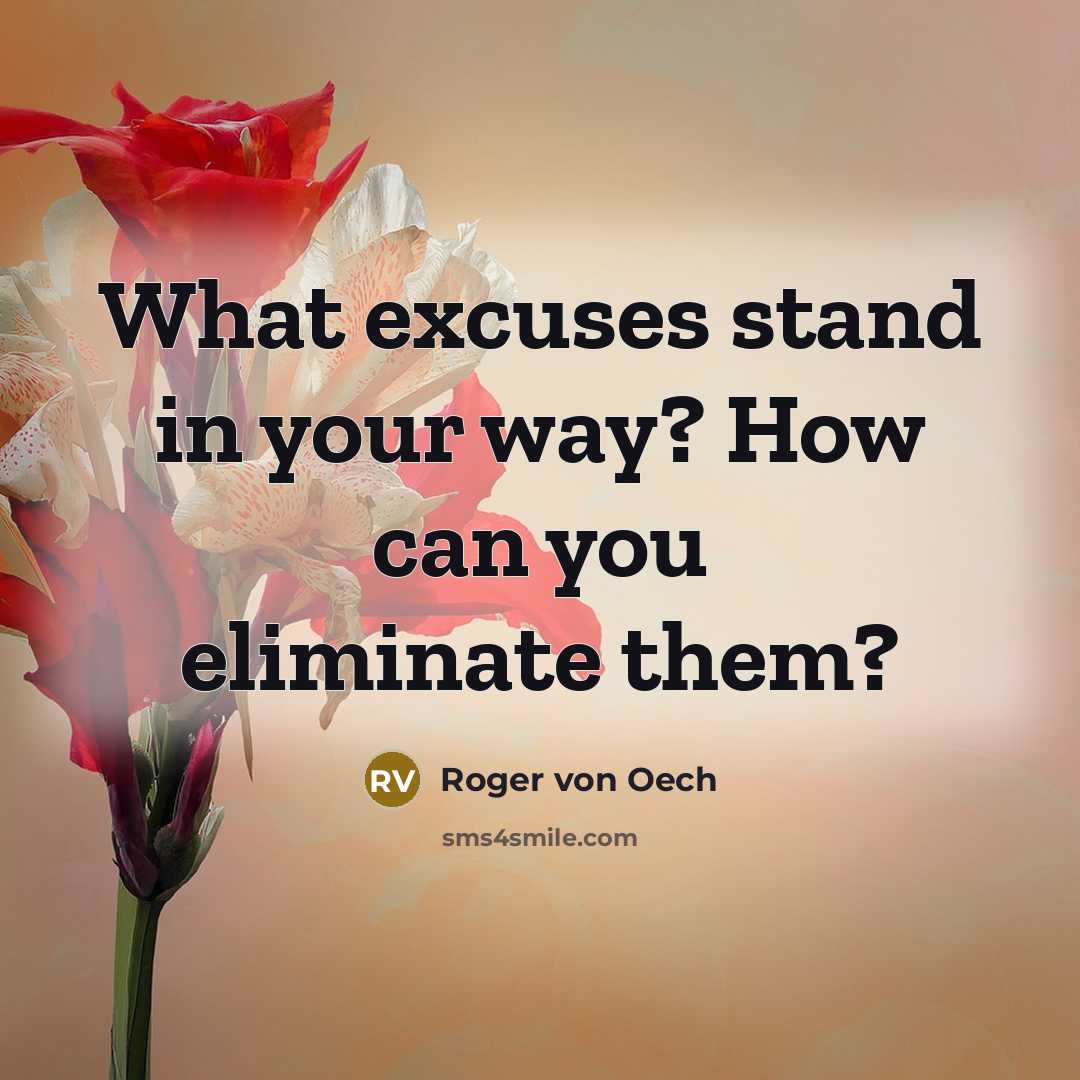 “What excuses stand in your way? How can you eliminate…” quote by Roger von Oech