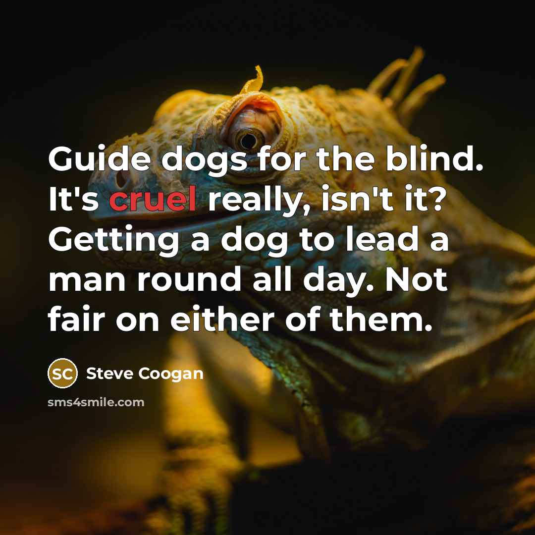 “Guide dogs for the blind. It's cruel really, isn't it? Getting a dog to lead a man round all day. Not fair on either of them.” quote by Steve Coogan