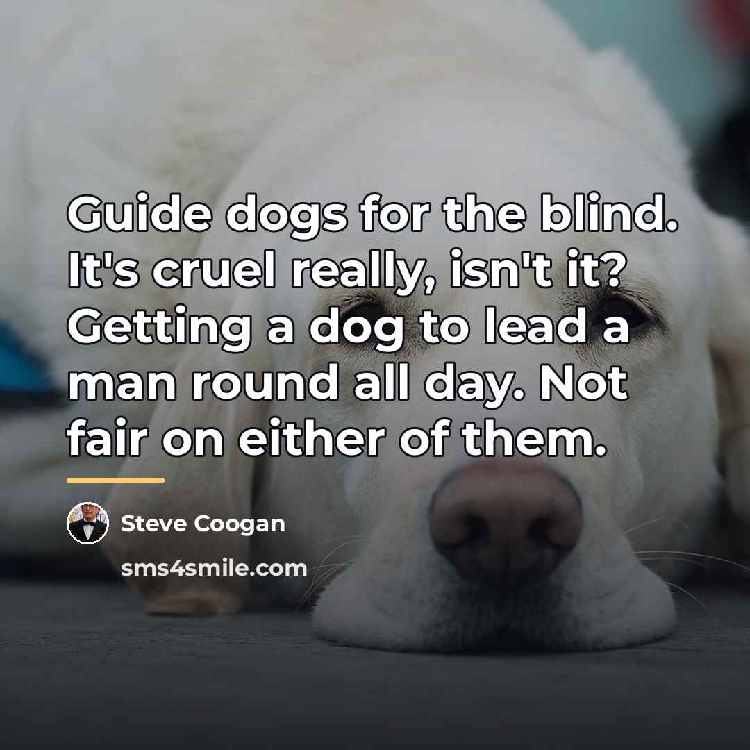“Guide dogs for the blind. It's cruel really, isn't it?…” quote by Steve Coogan