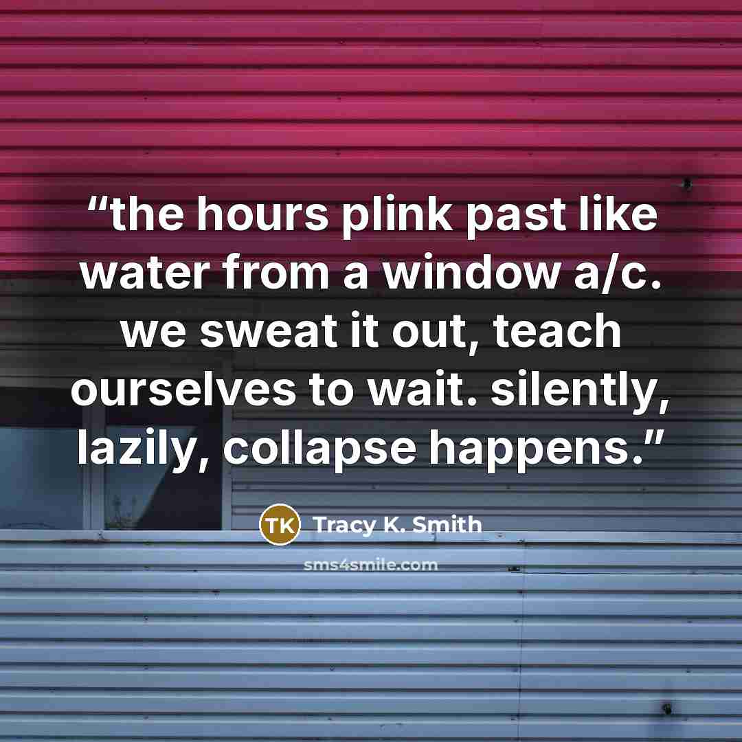 “the hours plink past like water from a window a/c. we sweat it out, teach ourselves to wait. silently, lazily, collapse happens.” quote by Tracy K. Smith