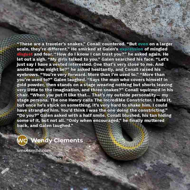 “These are a traveler’s snakes,” Conall countered. “But even on a larger scale, they’re different.” He smirked at Galen’s expression of mingled disgust and fear. “How do I know I can trust you?” he asked again. He let out a sigh. “My girls talked to you.” Galen searched his face. “Let’s just say I…” quote by Wendy Clements