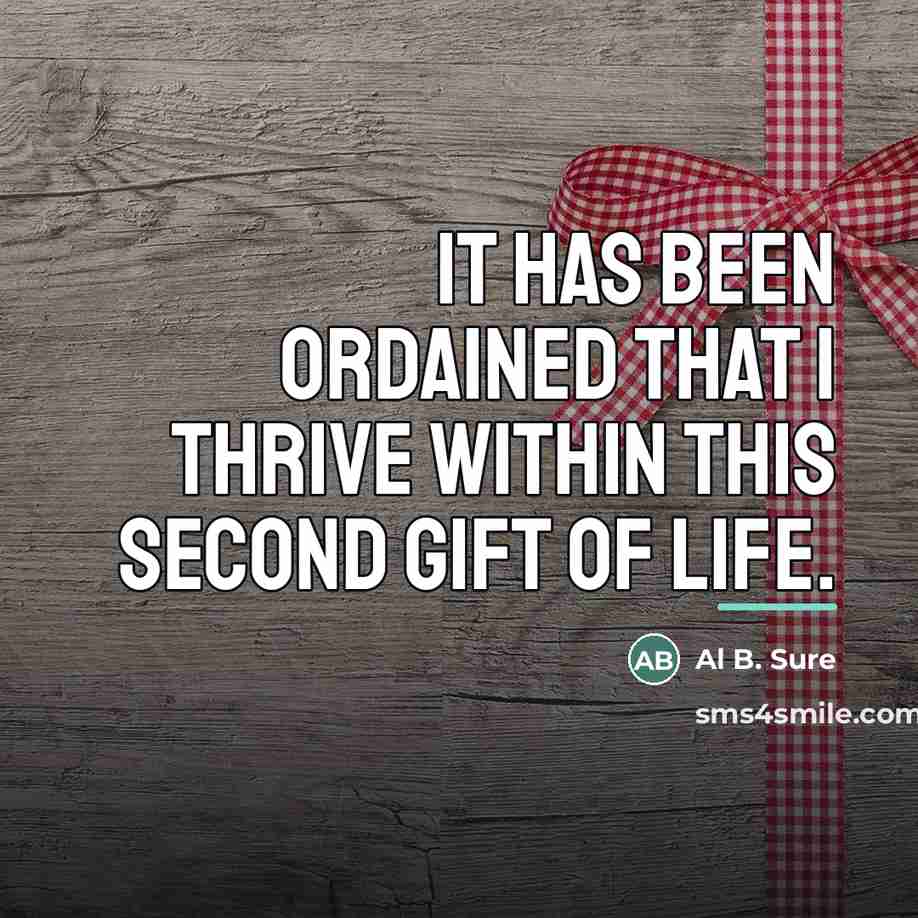 “It has been ordained that I thrive within this second…” quote by Al B. Sure