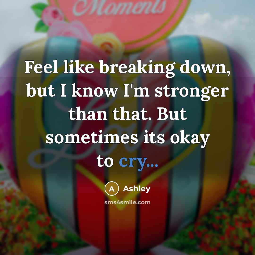 “Feel like breaking down, but I know I'm stronger than…” quote by Ashley