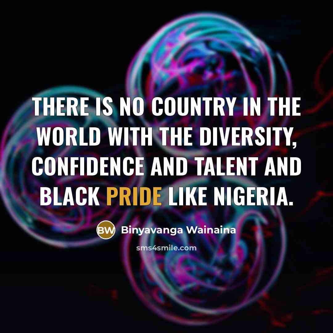 “There is no country in the world with the diversity,…” quote by Binyavanga Wainaina