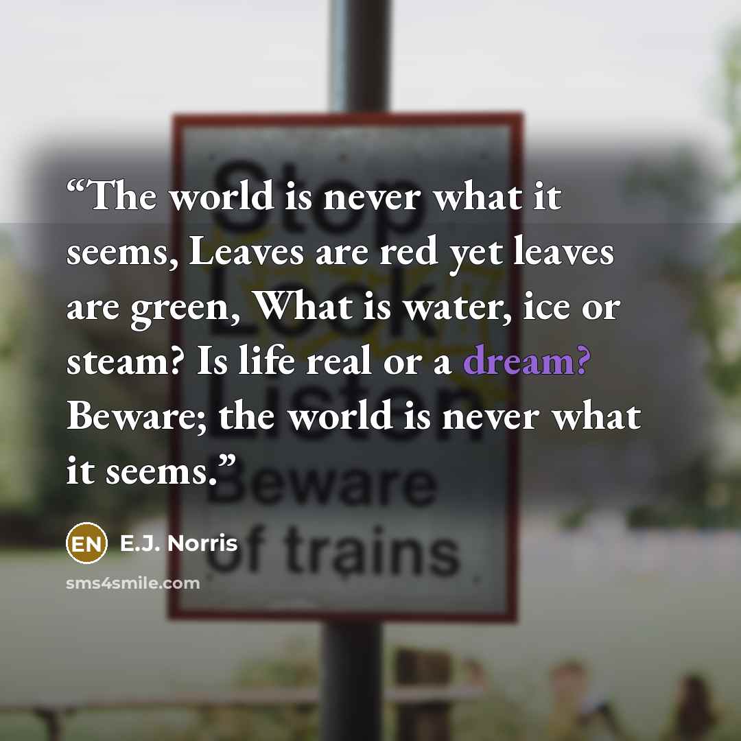 “The world is never what it seems, Leaves are red yet leaves are green, What is water, ice or steam? Is life real or a dream? Beware; the world is never what it seems.” quote by E.J. Norris