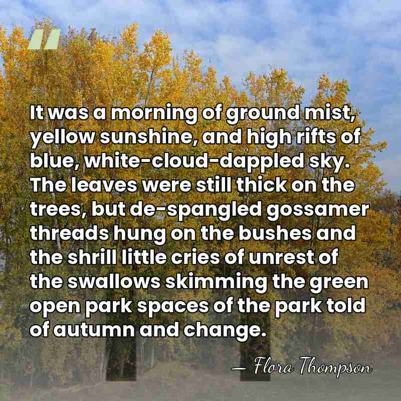 It was a morning of ground mist, yellow sunshine, and high rifts&hellip; - Flora Thompson