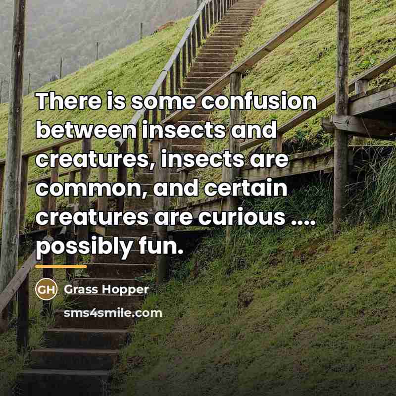 “There is some confusion between insects and creatures, insects are…” quote by Grass Hopper