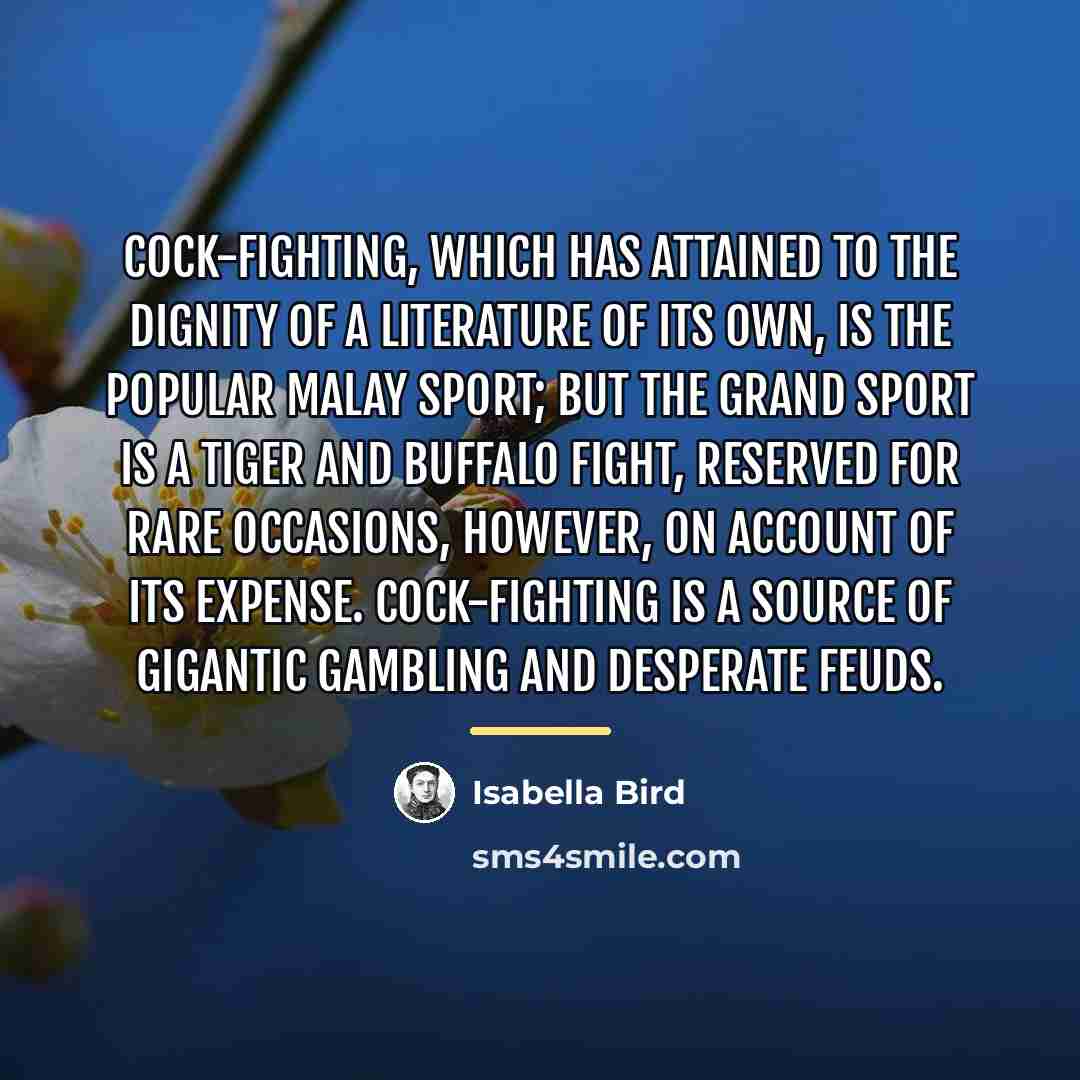 “Cock-fighting, which has attained to the dignity of a literature…” quote by Isabella Bird