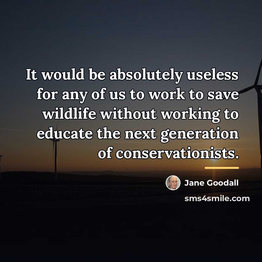 “It would be absolutely useless for any of us to…” quote by Jane Goodall