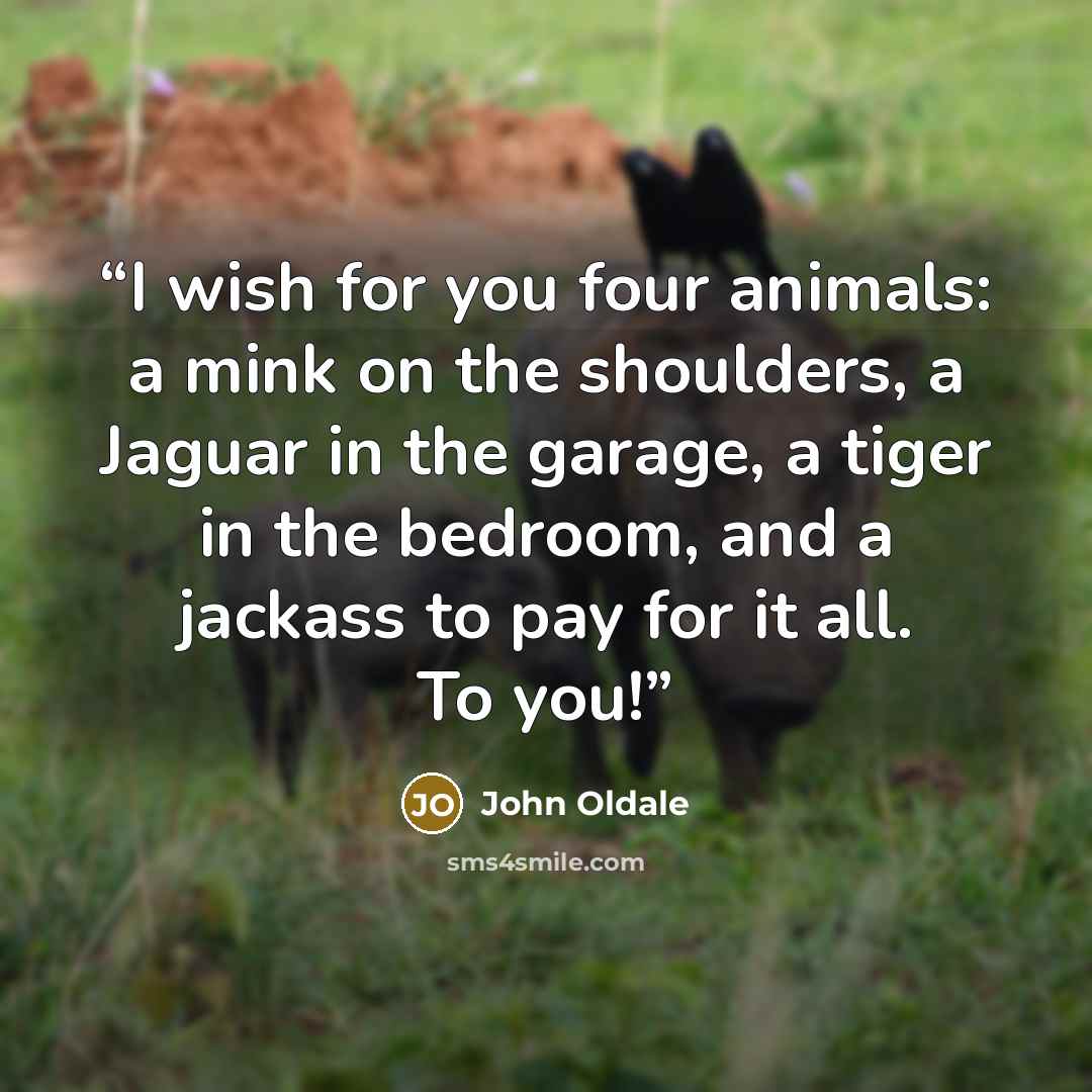 “I wish for you four animals: a mink on the shoulders, a Jaguar in the garage, a tiger in the bedroom, and a jackass to pay for it all. To you!” quote by John Oldale