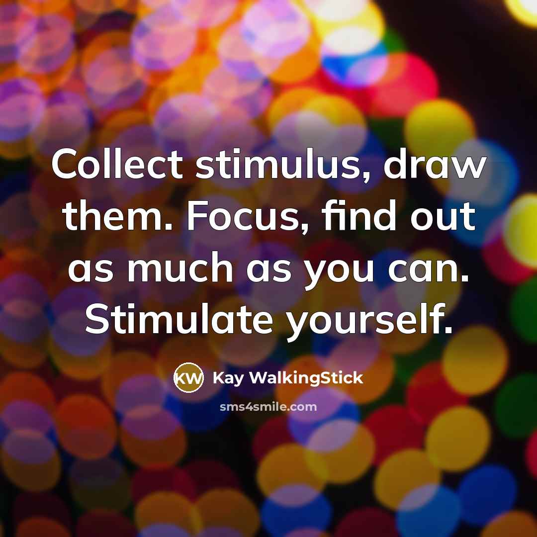 “Collect stimulus, draw them. Focus, find out as much as…” quote by Kay WalkingStick