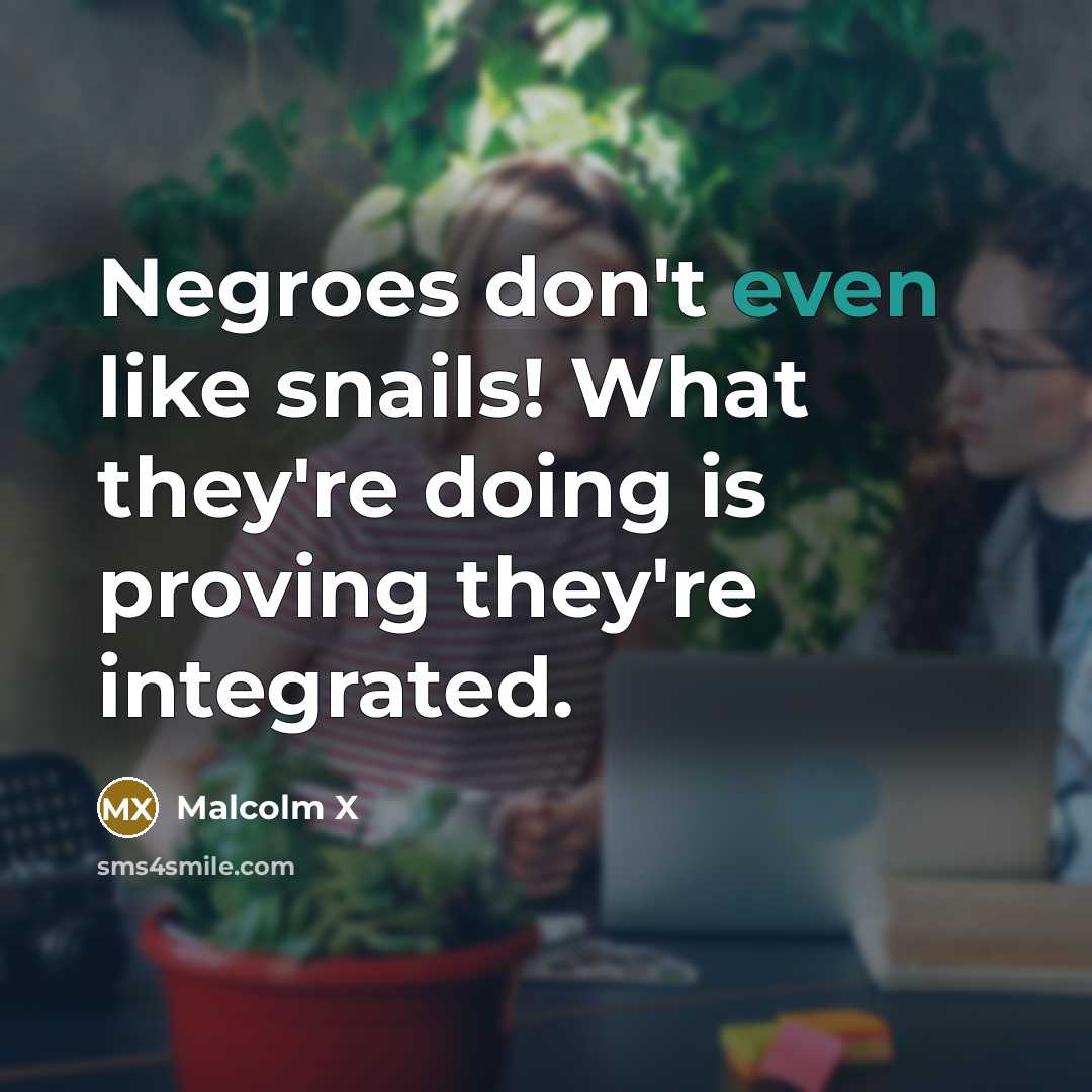 “Negroes don't even like snails! What they're doing is proving…” quote by Malcolm X
