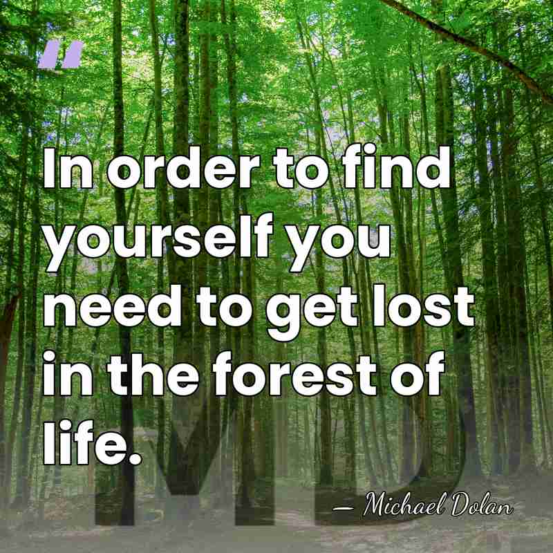 In order to find yourself you need to get lost in the&hellip; - Michael Dolan