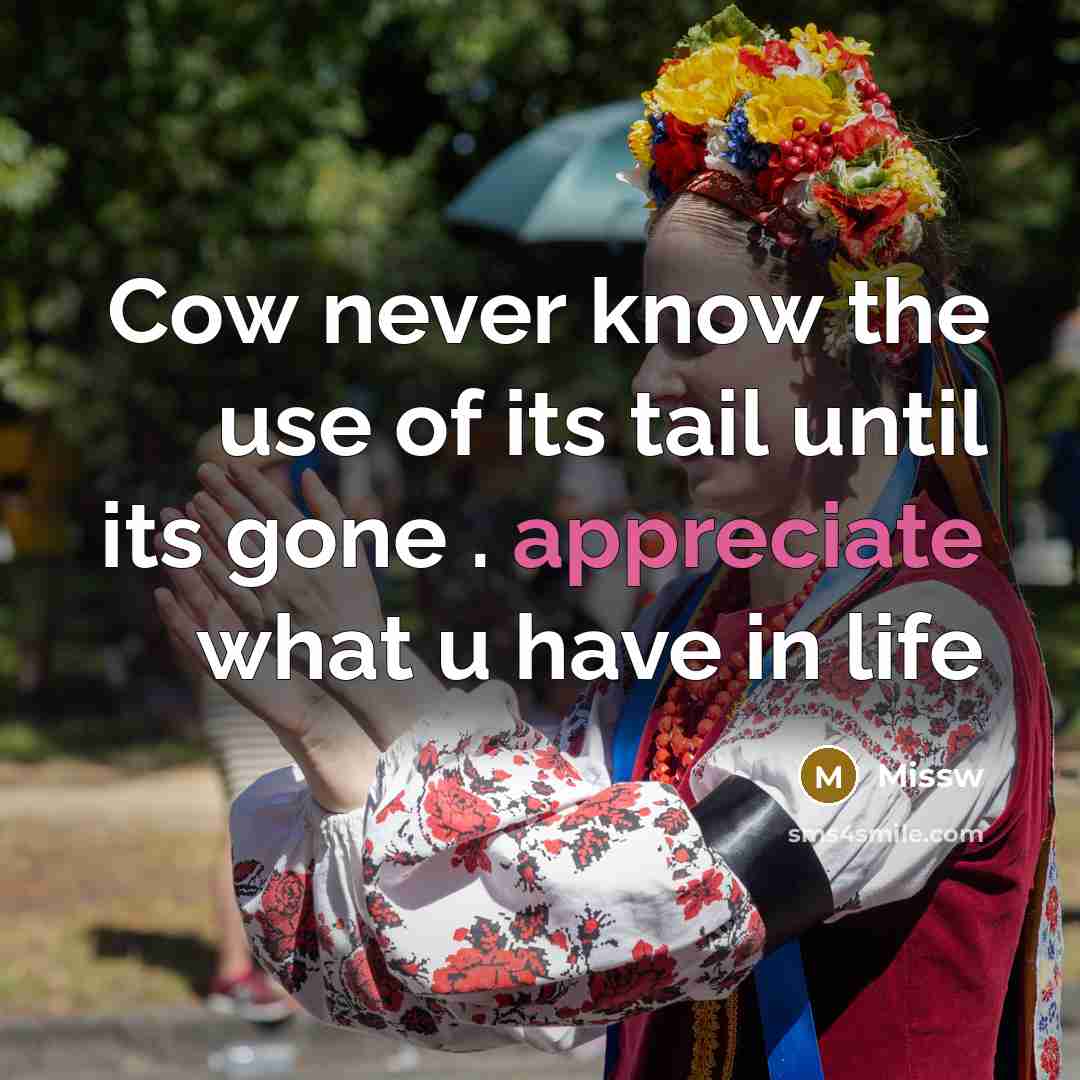 “Cow never know the use of its tail until its…” quote by Missw