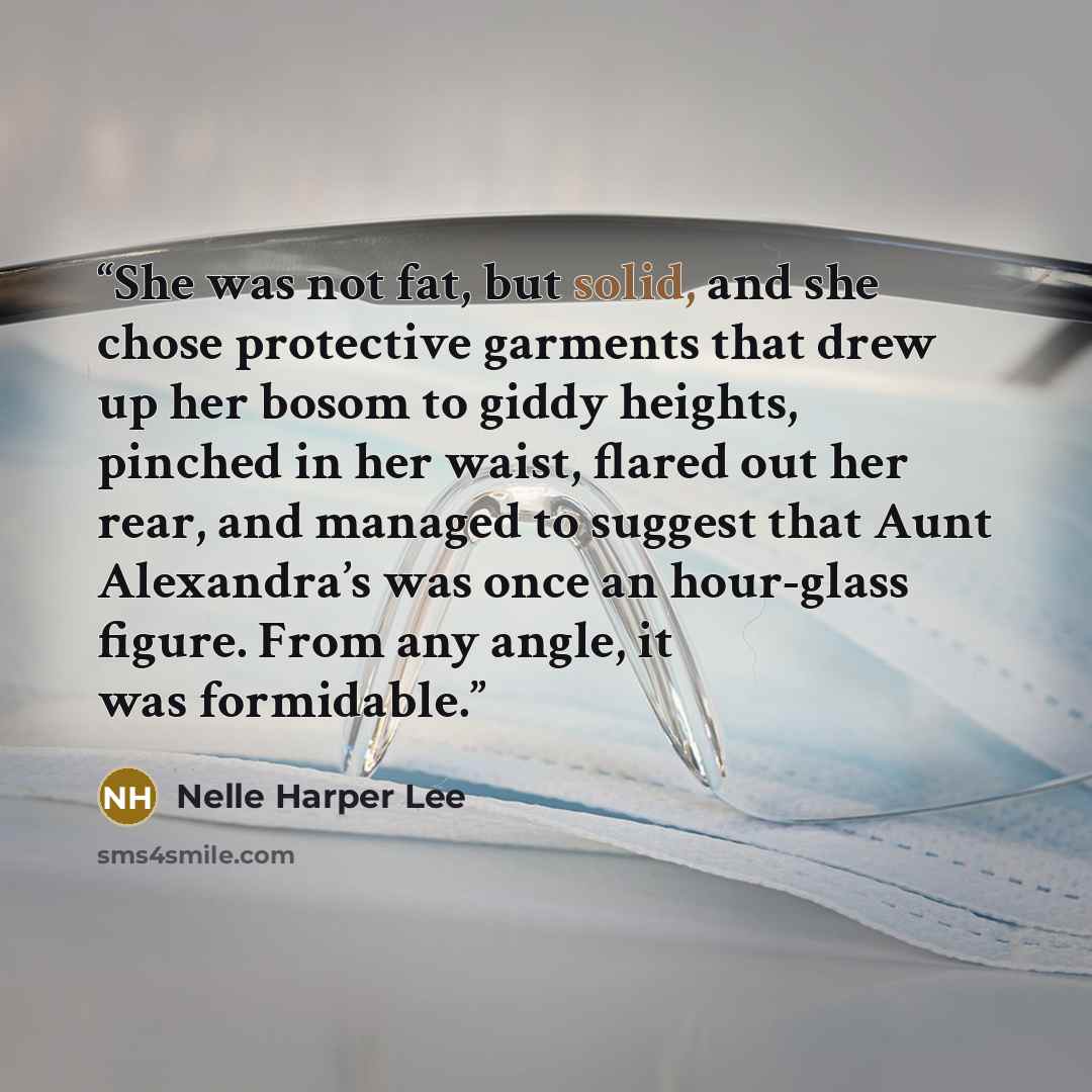 “She was not fat, but solid, and she chose protective garments that drew up her bosom to giddy heights, pinched in her waist, flared out her rear, and managed to suggest that Aunt Alexandra’s was once an hour-glass figure. From any angle, it was formidable.” quote by Nelle Harper Lee