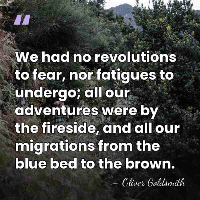 We had no revolutions to fear, nor fatigues to undergo; all our&hellip; - Oliver Goldsmith