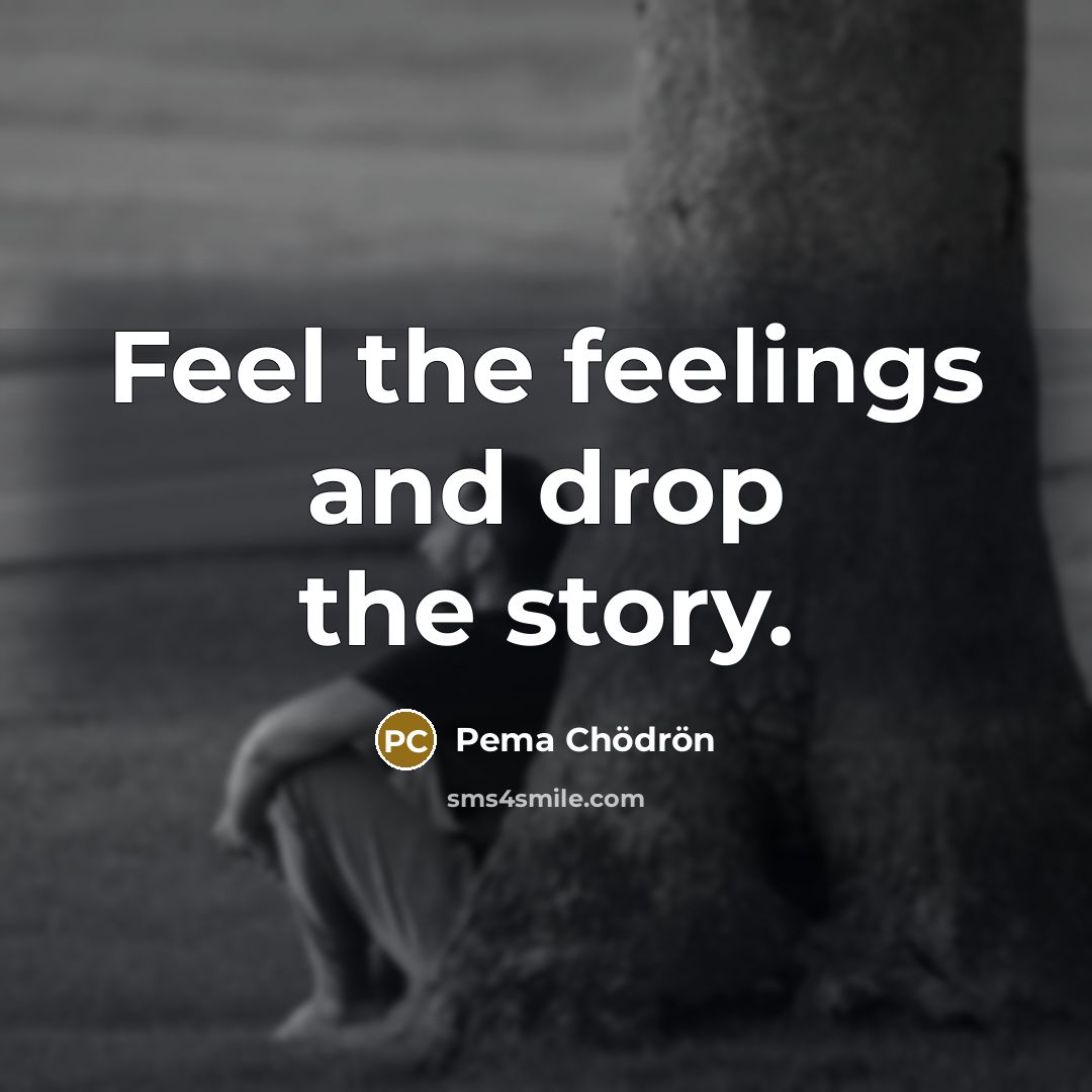 “Feel the feelings and drop the story.…” quote by Pema Chodron