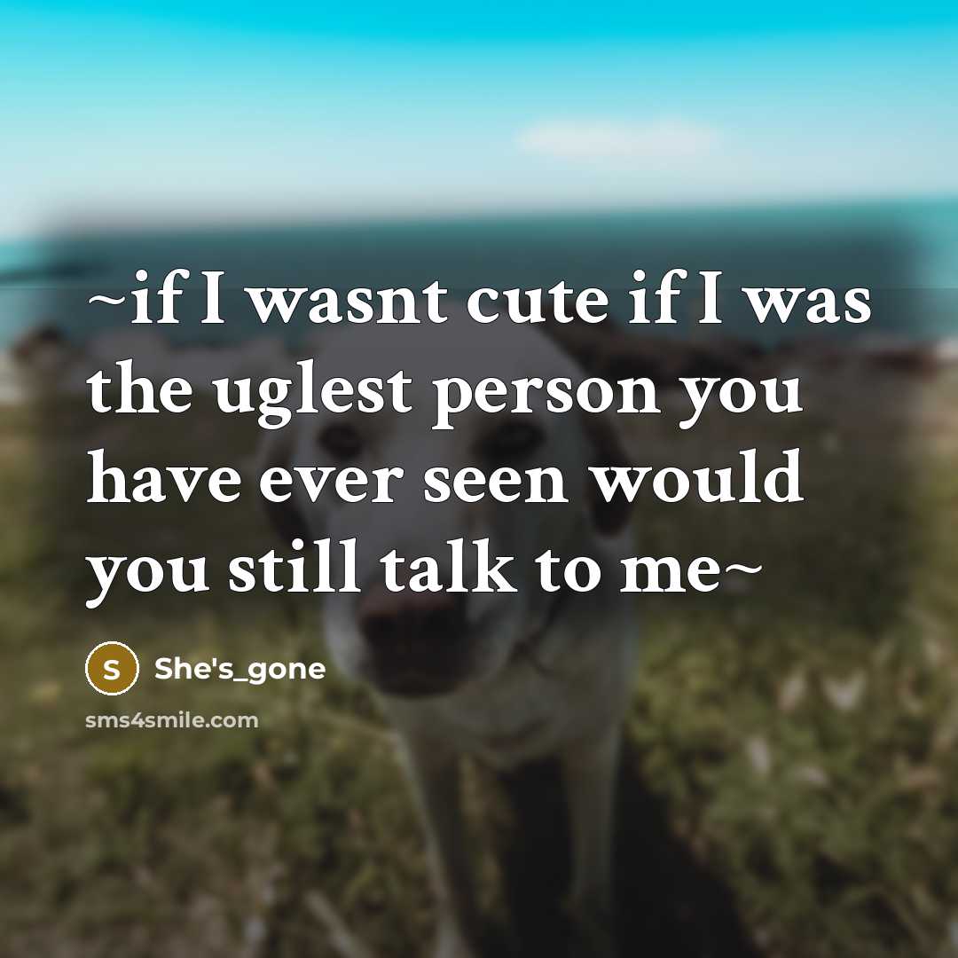 “~if I wasnt cute if I was the uglest person…” quote by she's_gone